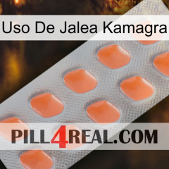 Kamagra Jelly Use 26